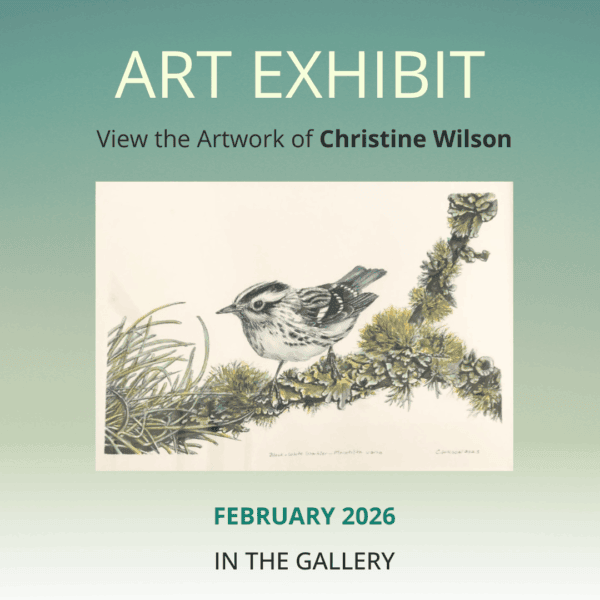 art exhibit february 2026 christine wilson (instagram post)