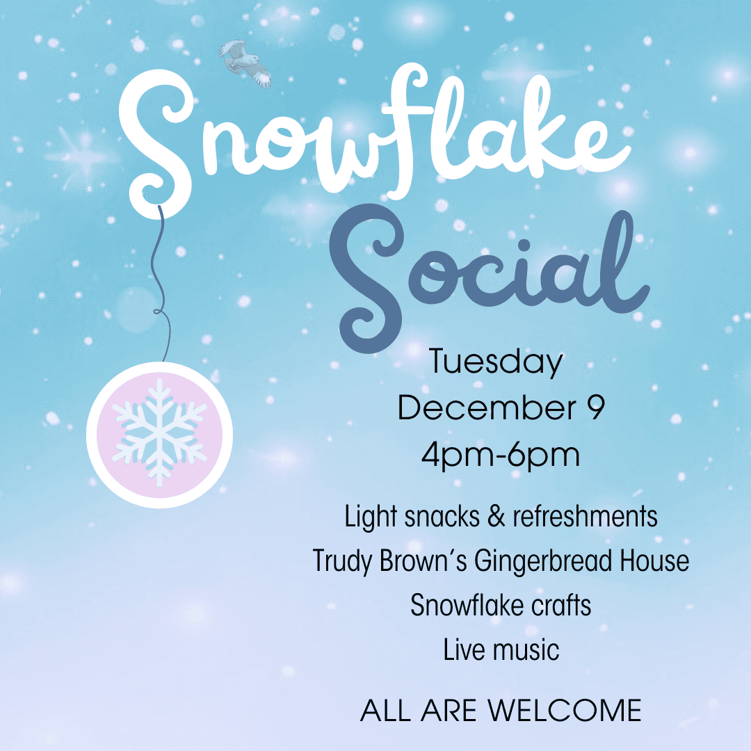 snowflake social 2025 (instagram post) (2)