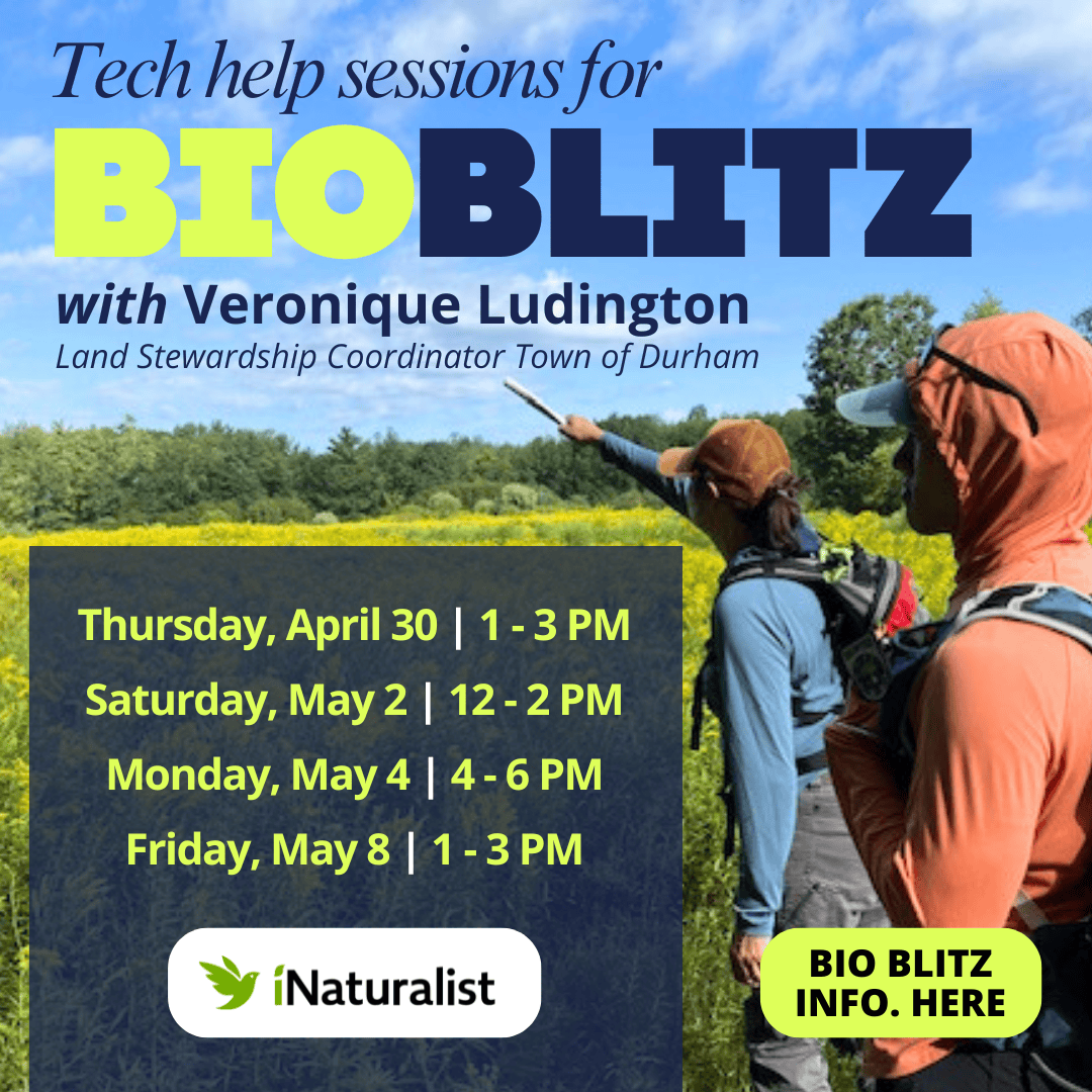 tech help for bio blitz