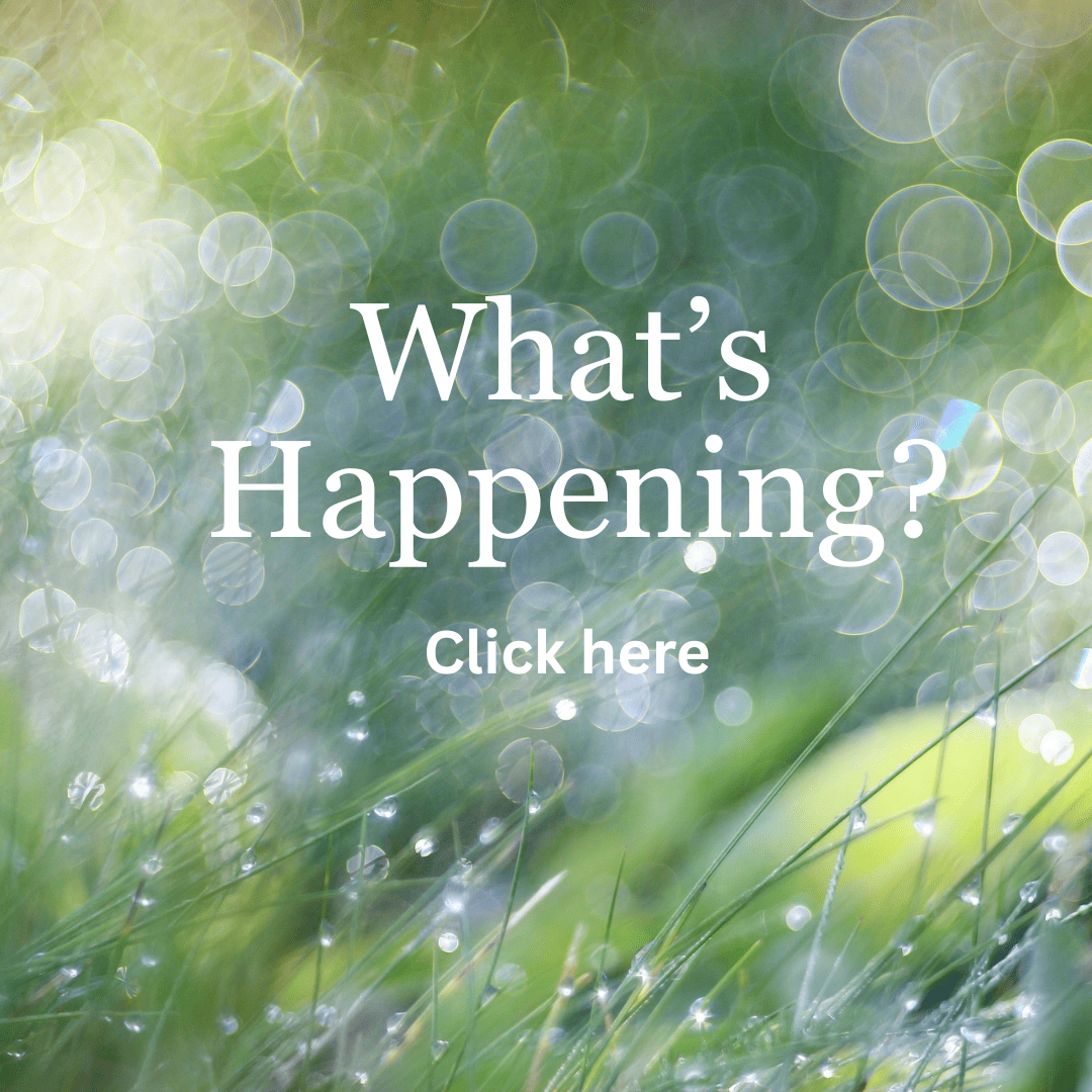 winter what's happening (2)